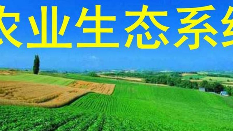合作社注册，这些材料不能少**