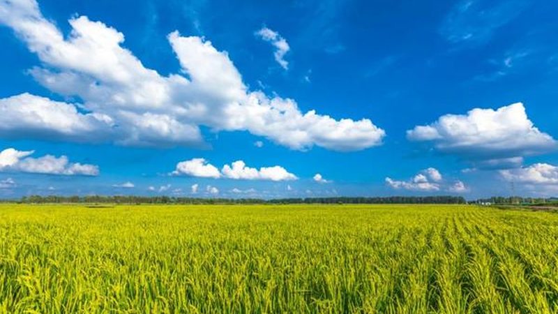 休闲农业与乡村旅游：案例差异解析