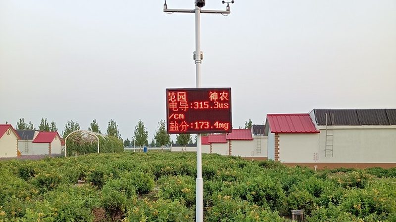 生鲜代运营服务：揭秘背后的五大关键环节