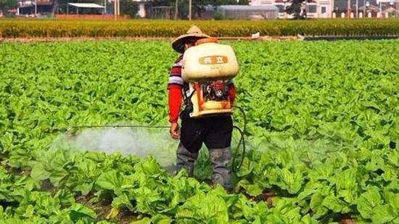 家庭农场补贴哪家强？揭秘补贴政策背后的真相