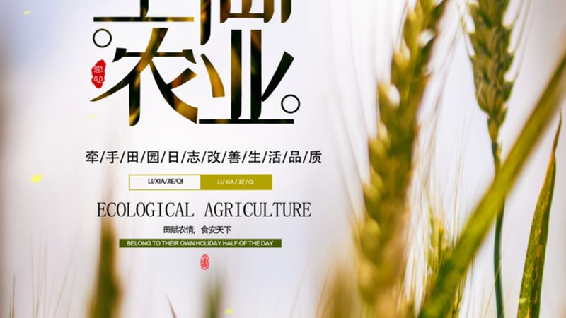 农业环境监测传感器：守护绿色家园的“眼睛