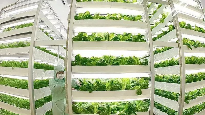 与传统农业生产方式相比，智慧农业种植系统具有以下优势：