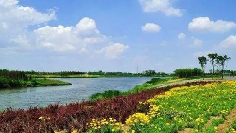 小型生态农场投资预算：关键要素与合理规划**